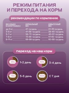 Лучшие гипоаллергенные корма для кошек: как выбрать и на что обратить внимание?