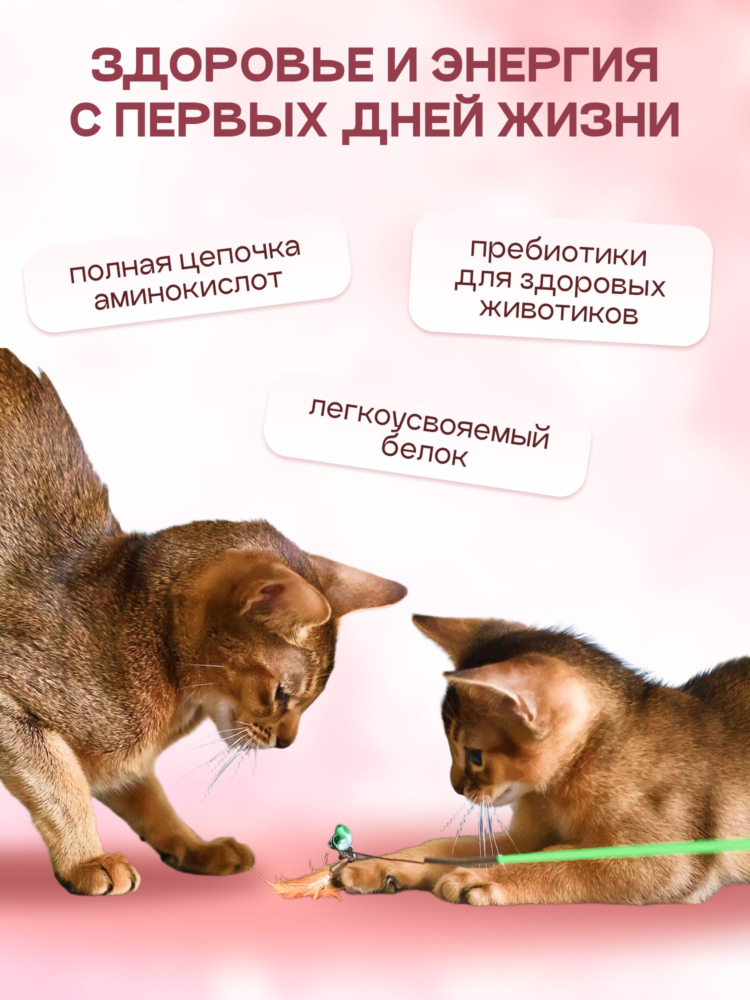 Корм сухой «Cosmocat» для котят и кормящих кошек с индейкой 0.8 кг