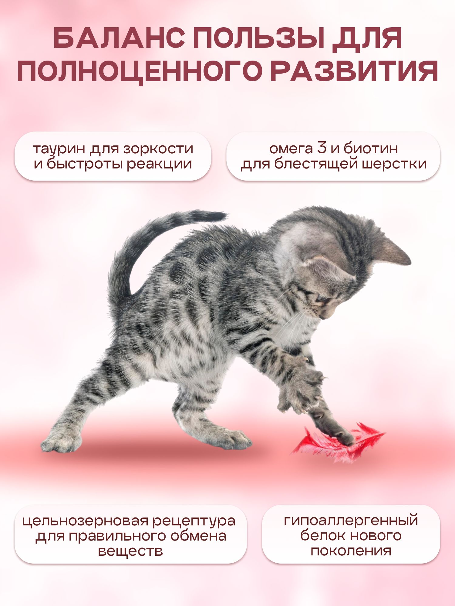 Корм сухой «Cosmocat» для котят и кормящих кошек с индейкой 0.8 кг