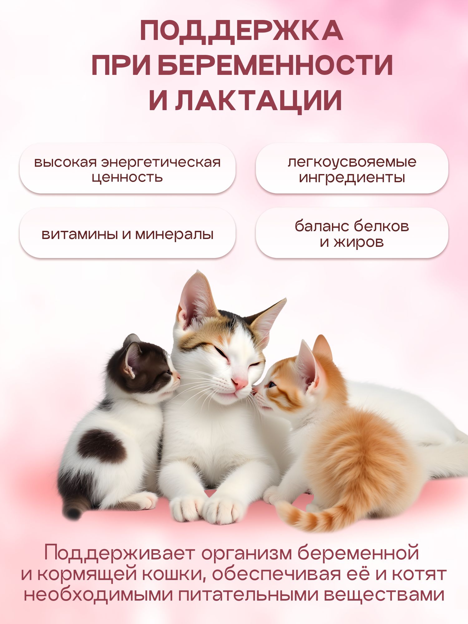 Корм сухой «Cosmocat» для котят и кормящих кошек с индейкой 0.8 кг