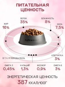 Беззерновой корм для кошек: как выбрать лучший и почему он полезен?
