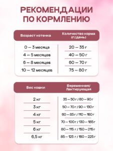 Беззерновой корм для кошек: как выбрать лучший и почему он полезен?
