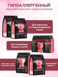 Холистик для кошек: зачем он нужен вашему усатому-полосатому