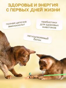 Корм сухой «Cosmocat» для котят и кормящих кошек с ягненком 0,8 кг