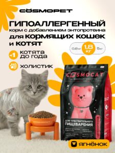 Аллергия на корм у кошек: как распознать и что делать?