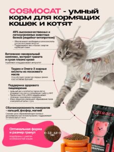 Аллергия на корм у кошек: как распознать и что делать?