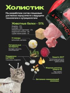 Аллергия на корм у кошек: как распознать и что делать?