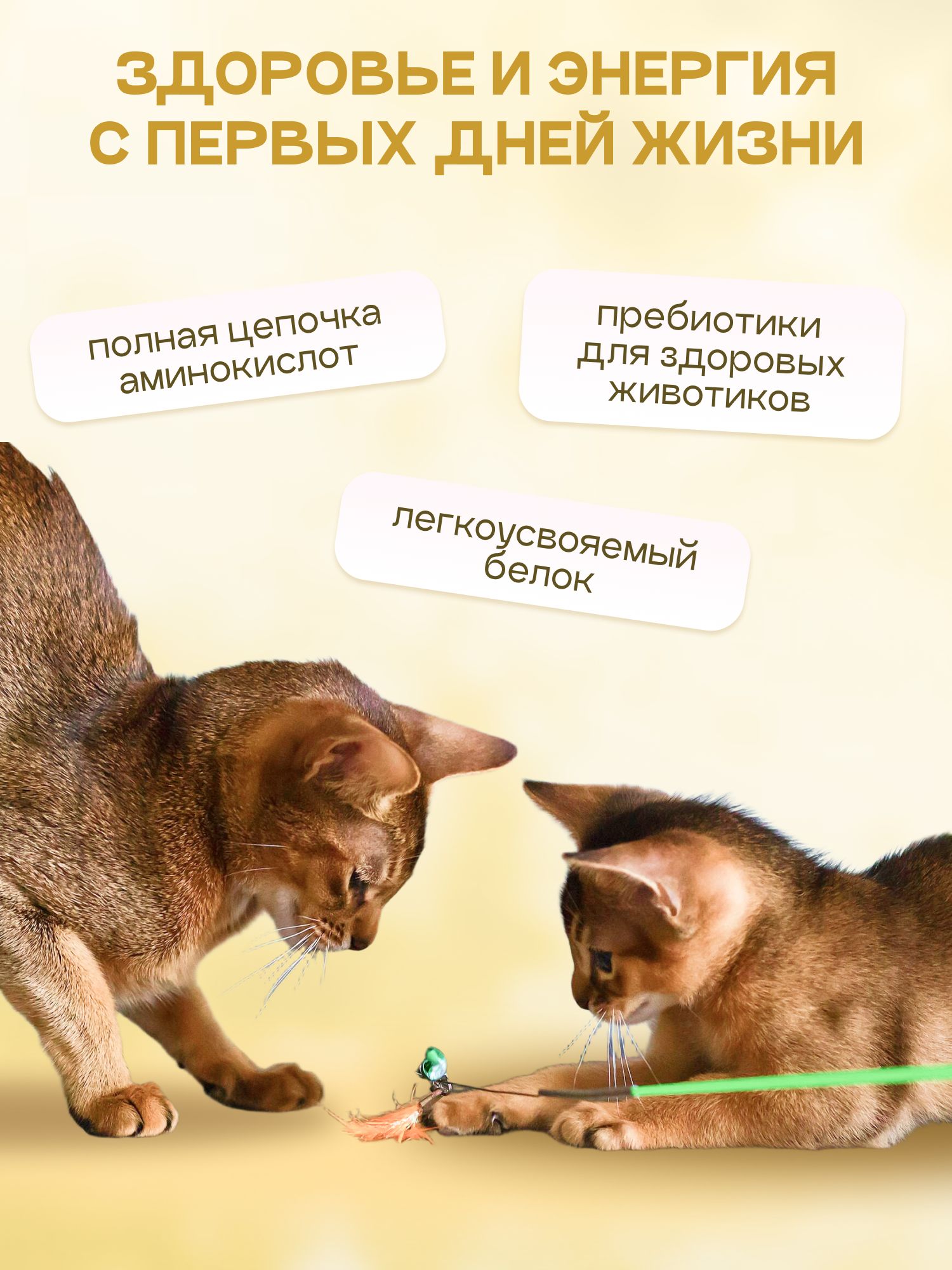 Корм сухой «Cosmocat» для котят и кормящих кошек с ягненком 5 кг