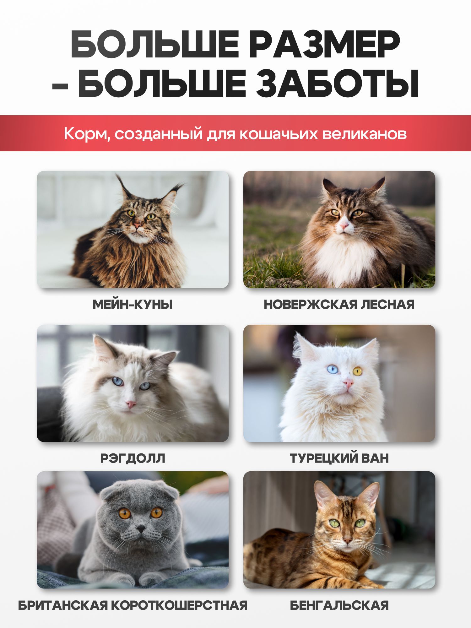 Корм сухой «Cosmocat» для крупных кошек с индейкой 0,8 кг