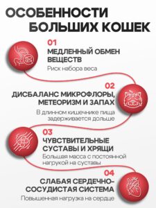 Корм сухой «Cosmocat» для крупных кошек с индейкой 0,8 кг