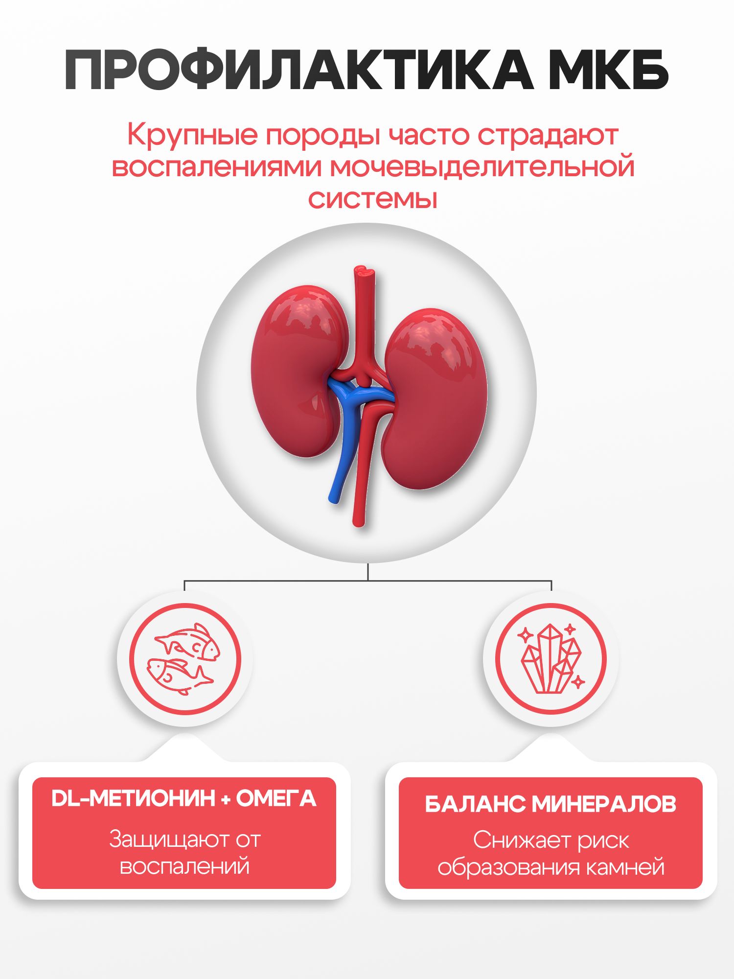 Корм сухой «Cosmocat» для крупных кошек с индейкой 1,8 кг