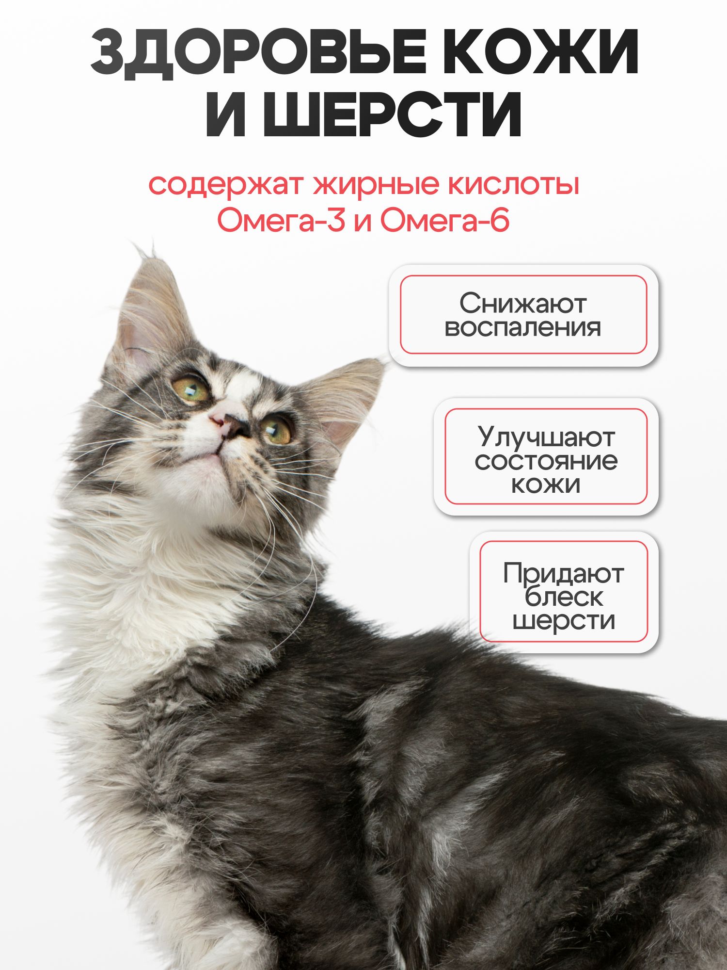 Корм сухой «Cosmocat» для крупных кошек с индейкой 1,8 кг