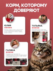 Корм сухой «Cosmocat» для выведения шерсти с индейкой 0,8 кг