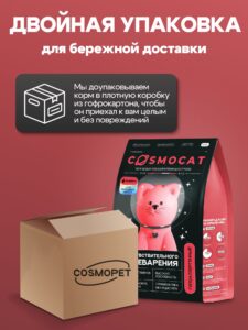 От костра к приюту: история домашних и бездомных животных