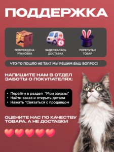 От костра к приюту: история домашних и бездомных животных