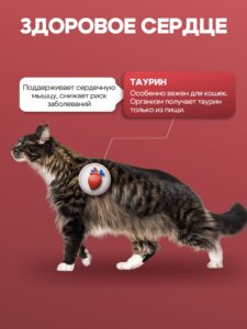 Корм сухой «Cosmocat» для выведения шерсти с индейкой 5 кг