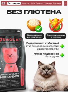 Четвероногие космонавты: как животные прокладывали путь к звёздам и что они там ели