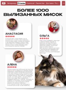 Четвероногие космонавты: как животные прокладывали путь к звёздам и что они там ели