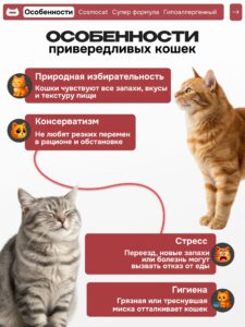 Корм сухой «Cosmocat» для привередливых кошек с индейкой 5 кг