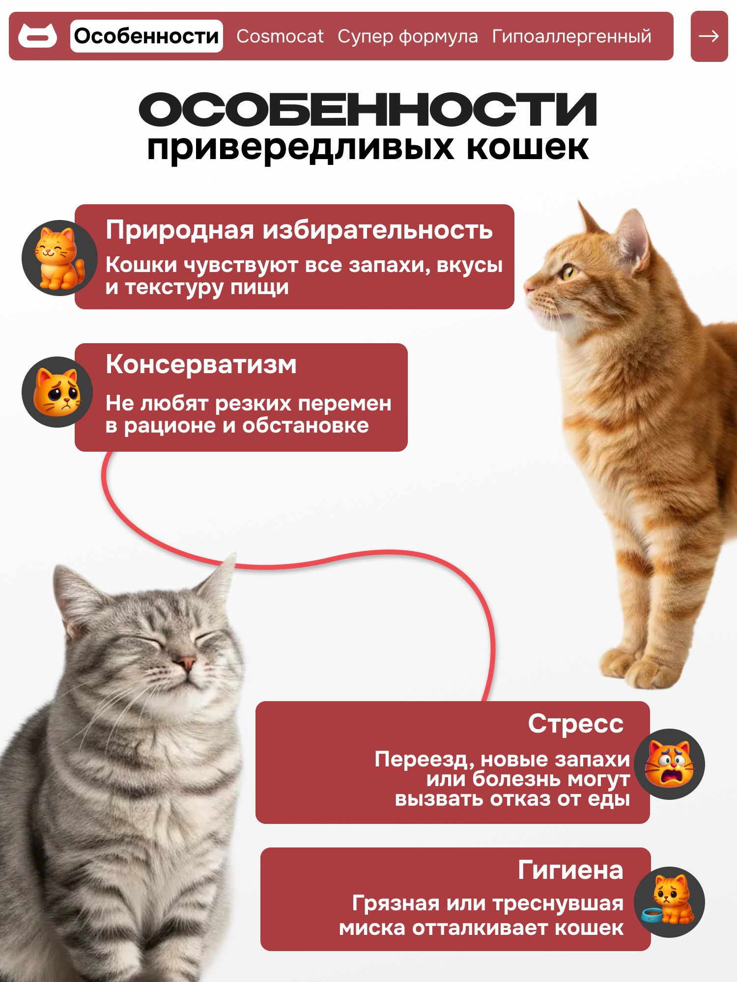 Корм сухой «Cosmocat» для привередливых кошек с индейкой 5 кг