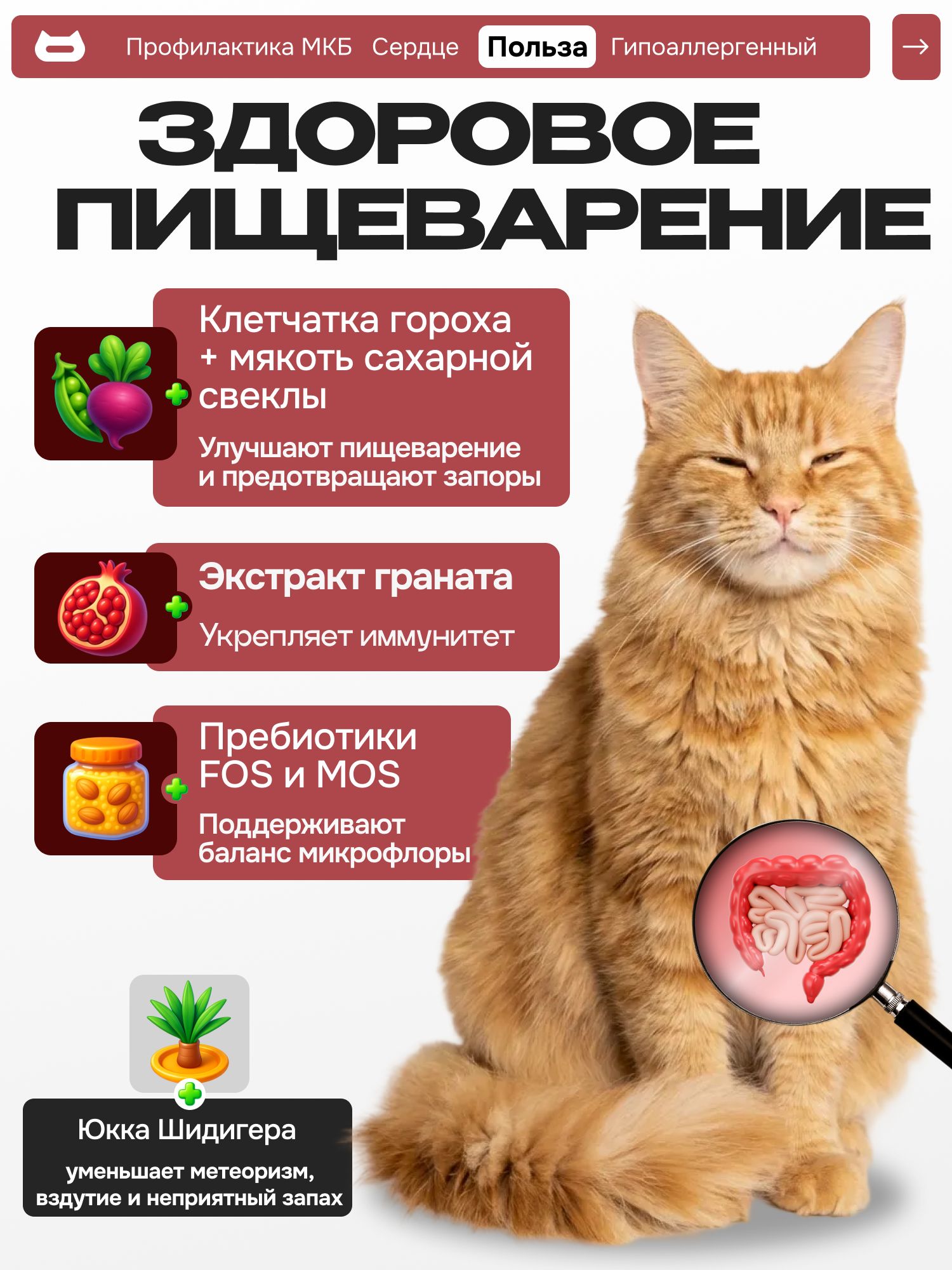 Корм сухой «Cosmocat» для привередливых кошек с индейкой 5 кг