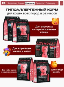 КАК ВЫБРАТЬ КОГТЕТОЧКУ: ОБЗОР МАСТХЕВОВ ДЛЯ ВАШЕЙ КОШКИ