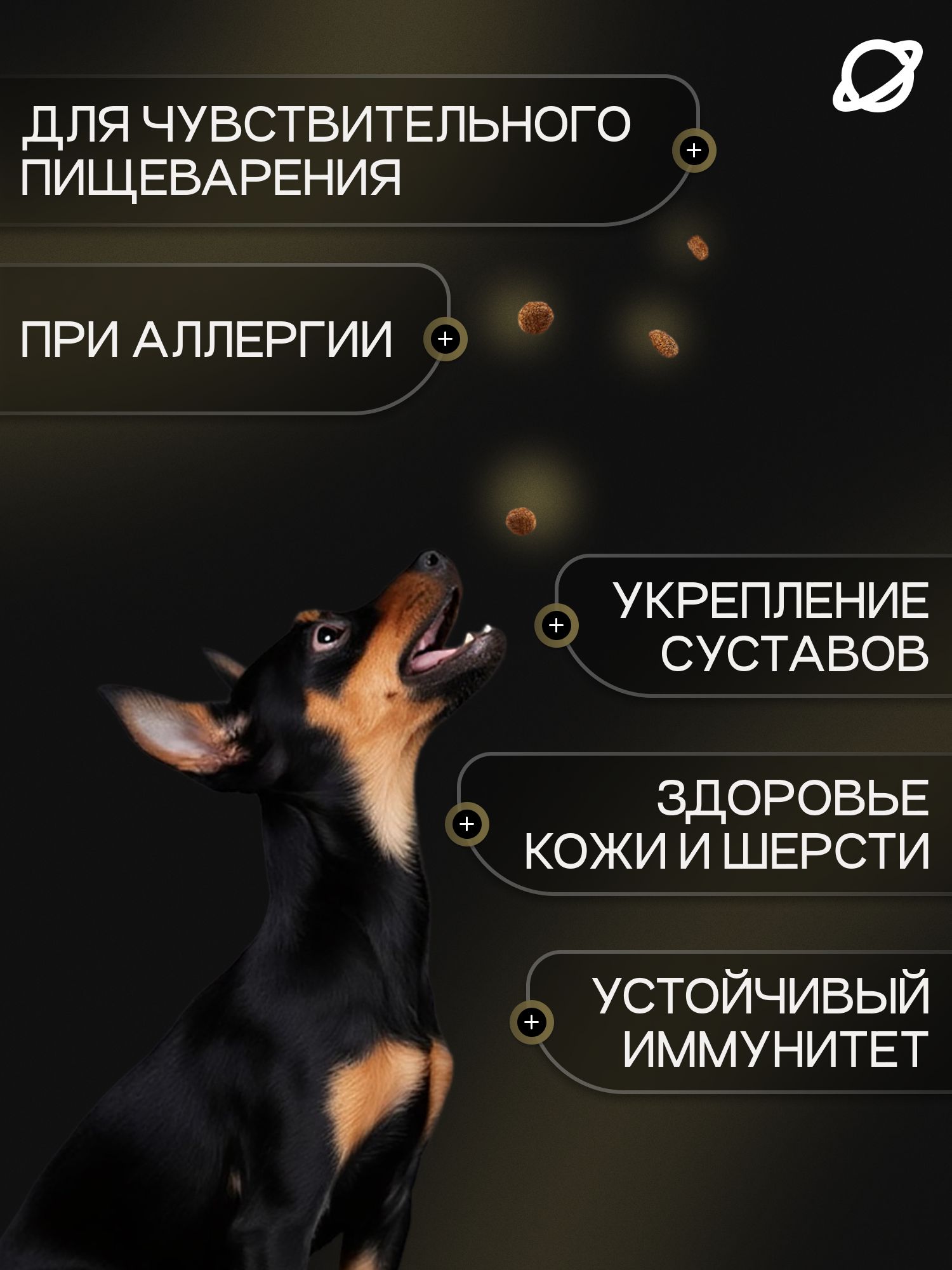 Набор кормов сухих для собак «Cosmodog» для мелких пород с ягненком 2 кг, 6 пачек