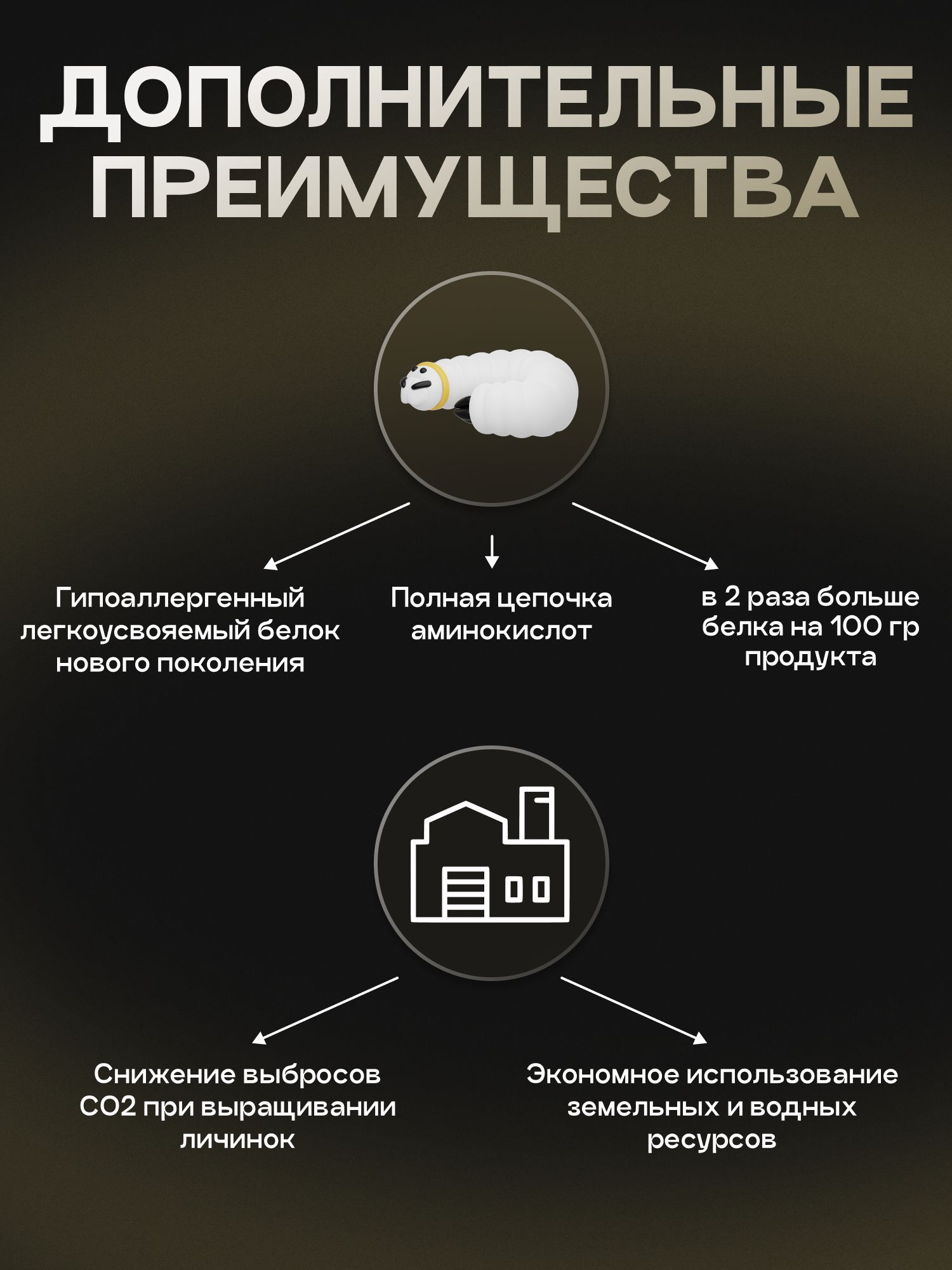 Набор кормов сухих для собак «Cosmodog» для мелких пород с ягненком 2 кг, 6 пачек
