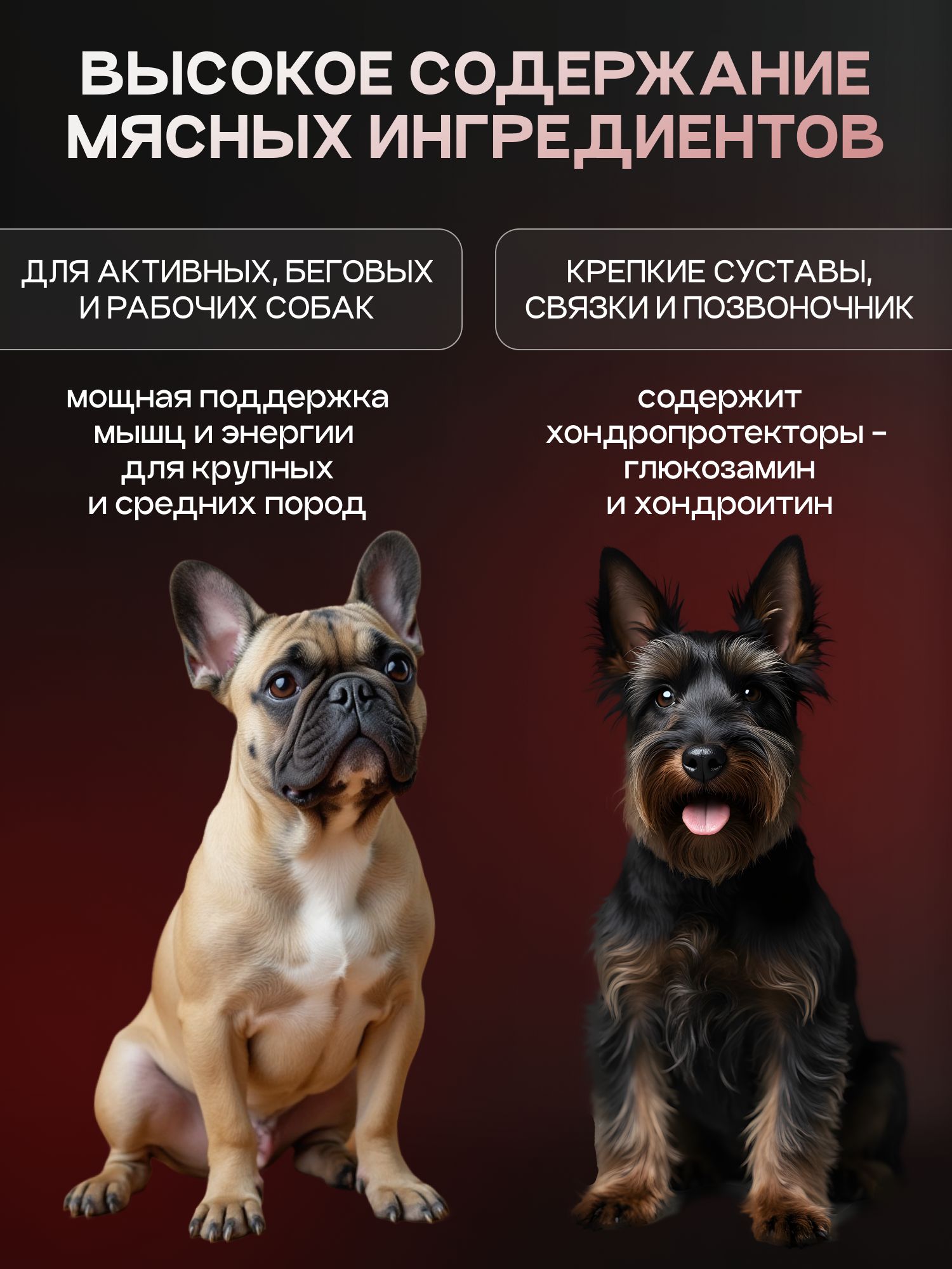 Набор кормов сухих для собак «Cosmodog» для мелких пород с ягненком с пробиотиком 2 кг, 2 пачки