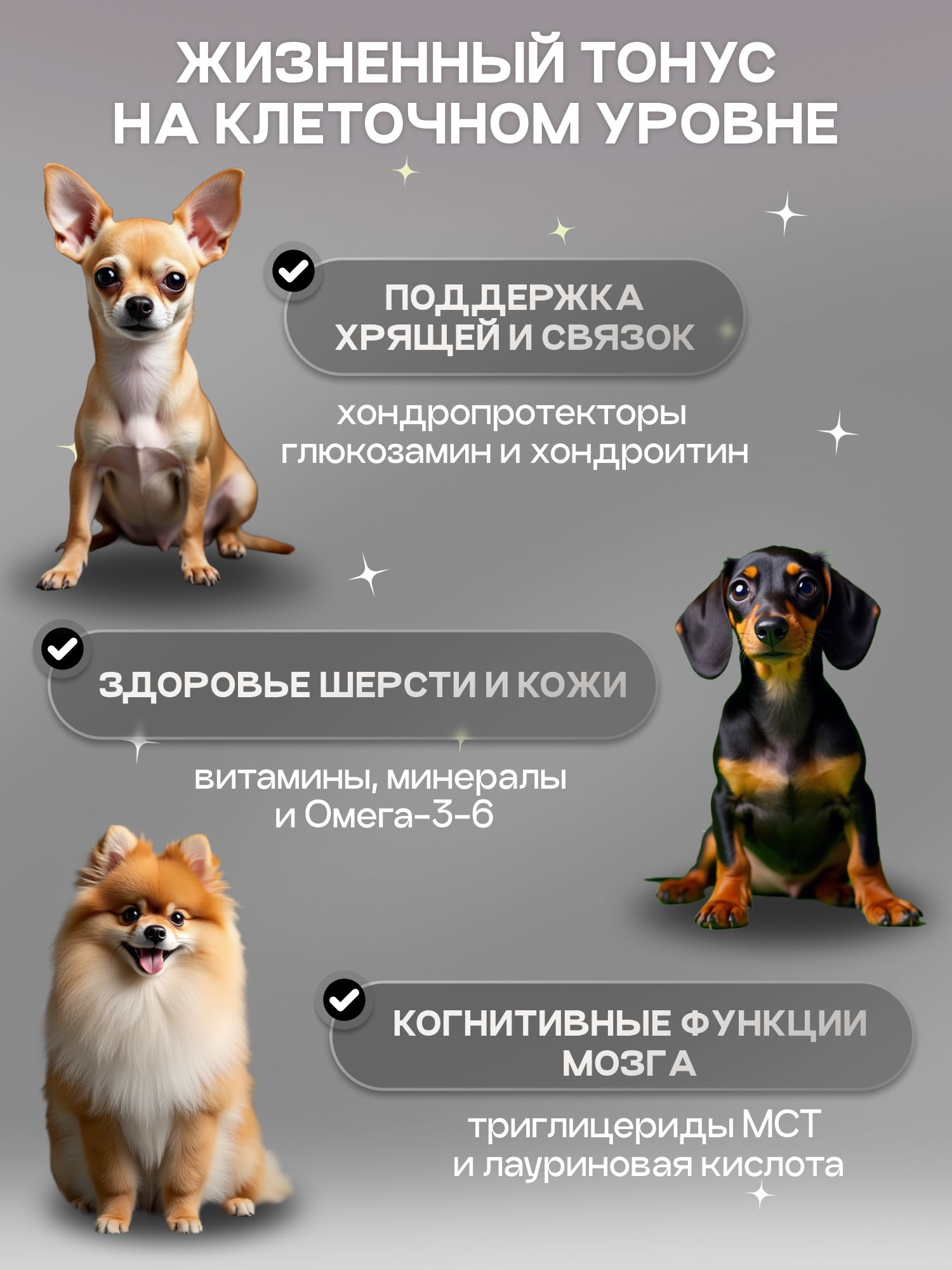 Набор кормов сухих для собак «Cosmodog» для мини пород с ягненком 2 кг, 3 пачки