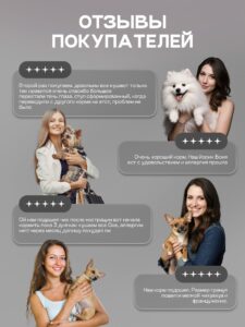 Набор кормов сухих для собак «Cosmodog» для мини пород с ягненком 2 кг, 3 пачки