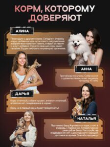 Набор кормов сухих для собак «Cosmodog» для мини пород с ягненком с пробиотиком 2 кг, 2 пачки