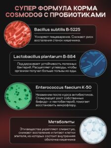 Набор кормов сухих для собак «Cosmodog» для мини пород с ягненком с пробиотиком 2 кг, 2 пачки
