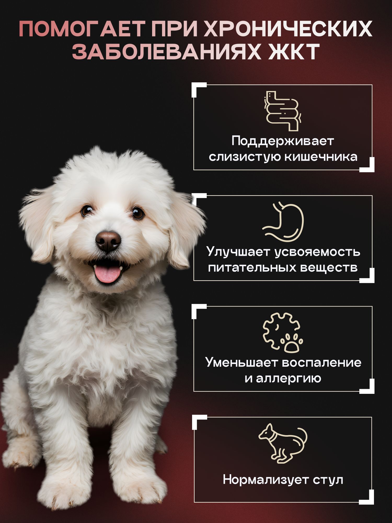 Набор кормов сухих для собак «Cosmodog» для мини пород с ягненком с пробиотиком 2 кг, 2 пачки