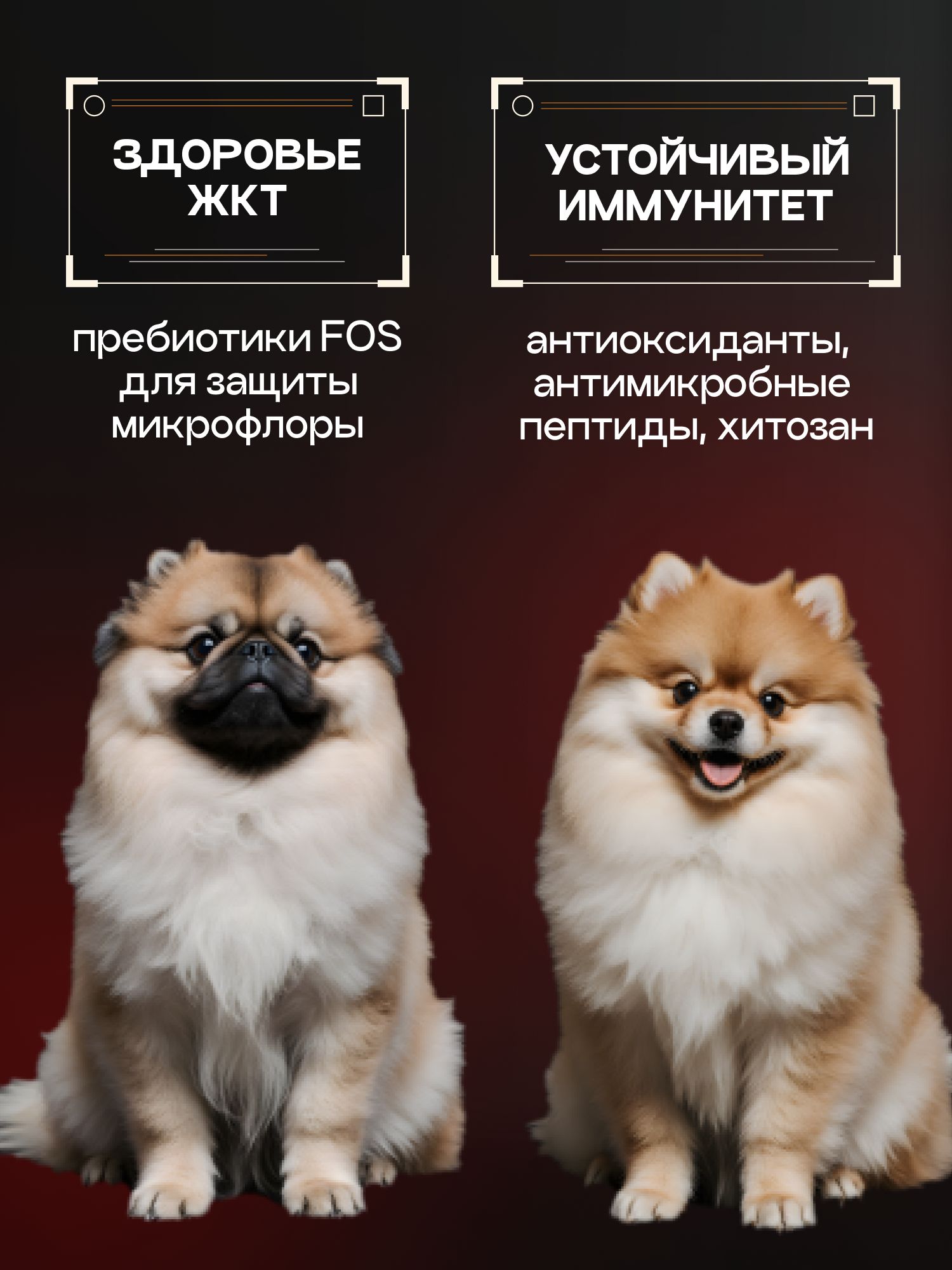 Набор кормов сухих для собак «Cosmodog» для мини пород с ягненком с пробиотиком 2 кг, 3 пачки