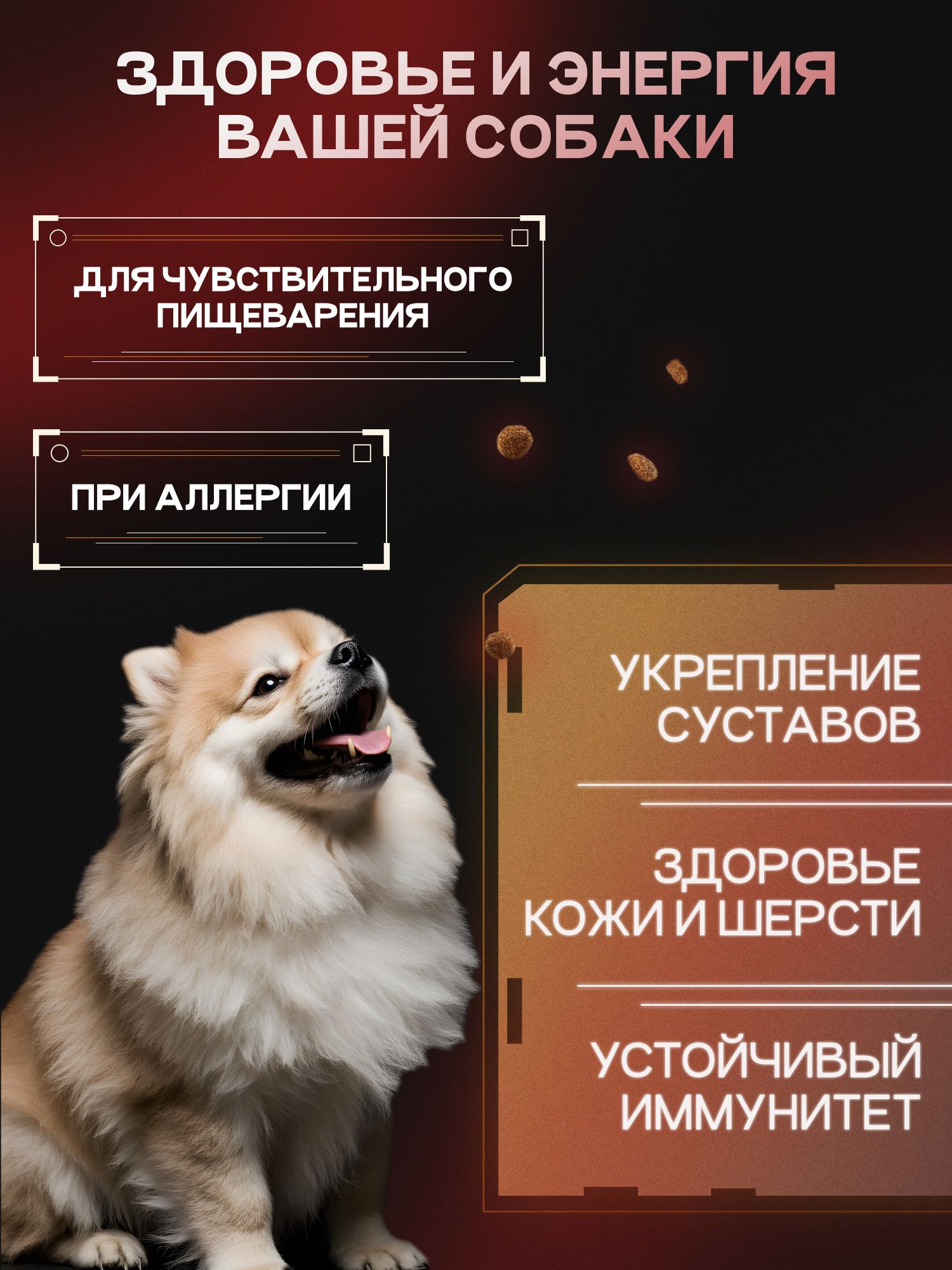Набор кормов сухих для собак «Cosmodog» для мини пород с ягненком с пробиотиком 2 кг, 6 пачек