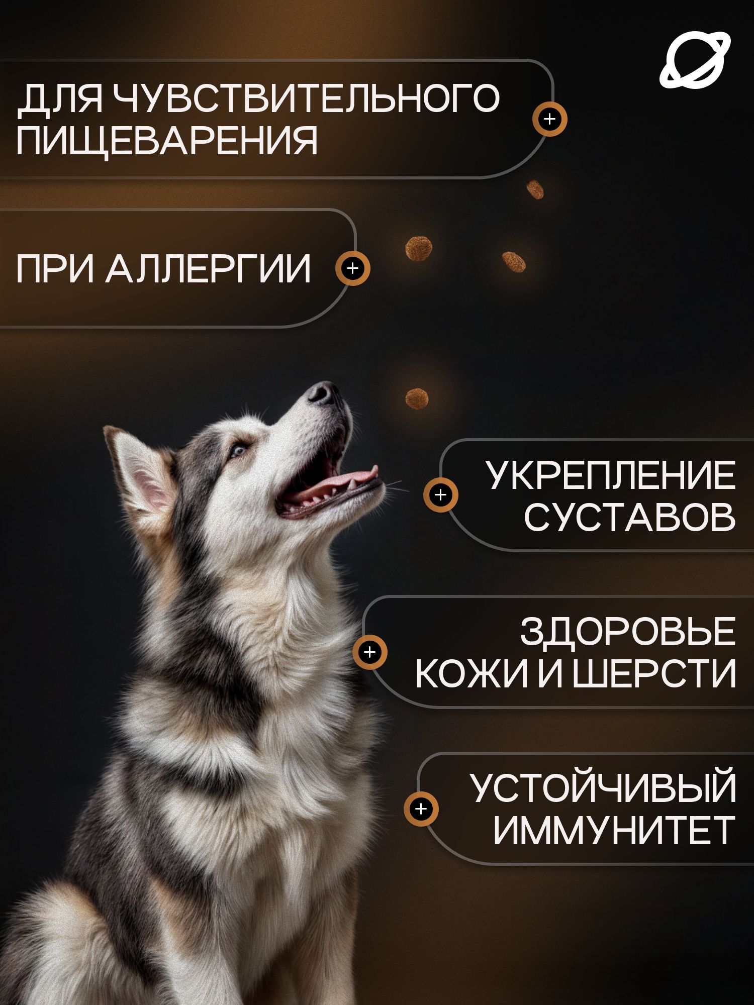 Набор кормов сухих для собак «Cosmodog» Senior 7+ с ягненком 2 кг, 2 пачки