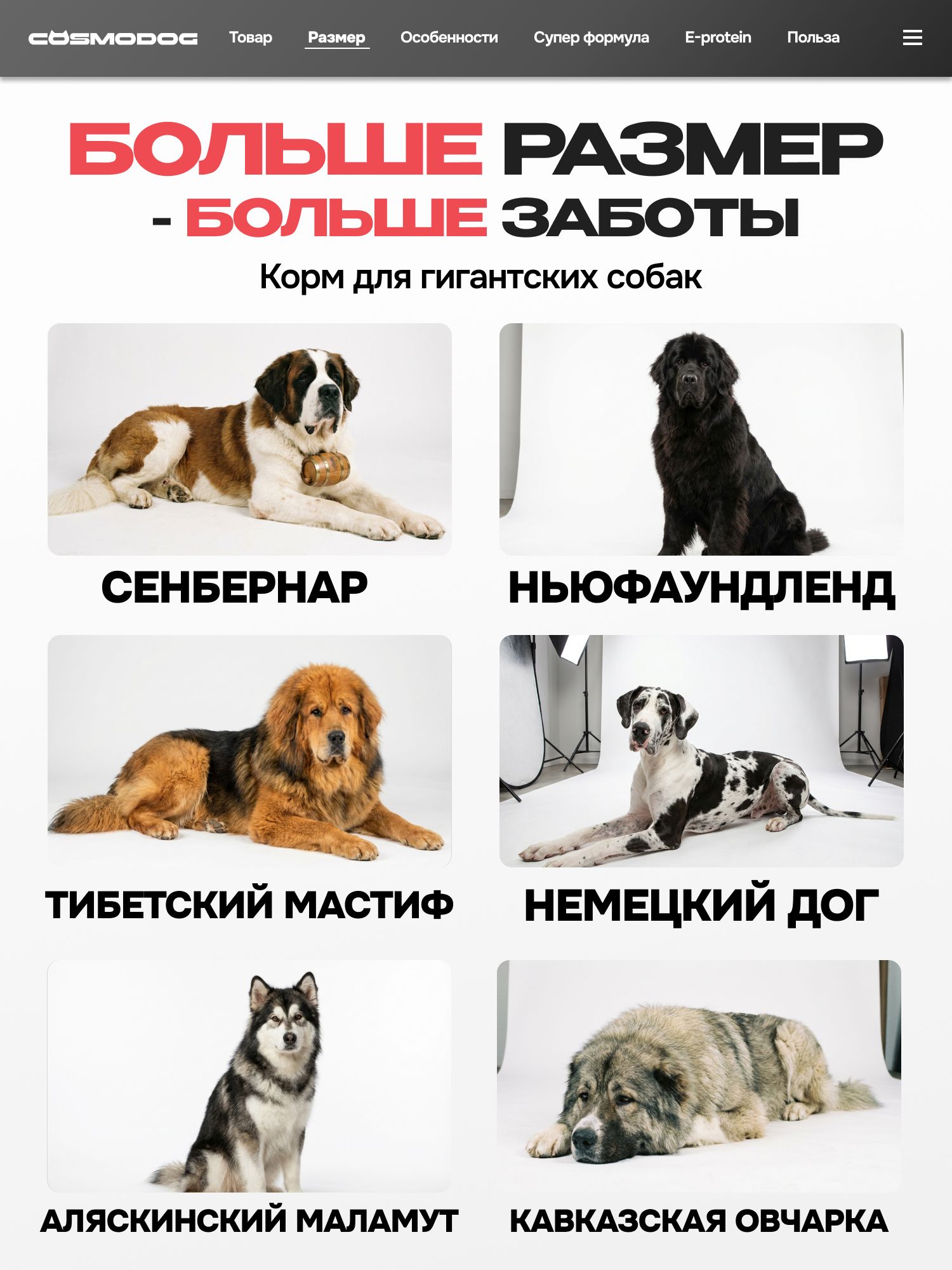Набор кормов сухих для собак «Cosmodog» для гигантских пород с индейкой 2 кг, 2 пачки