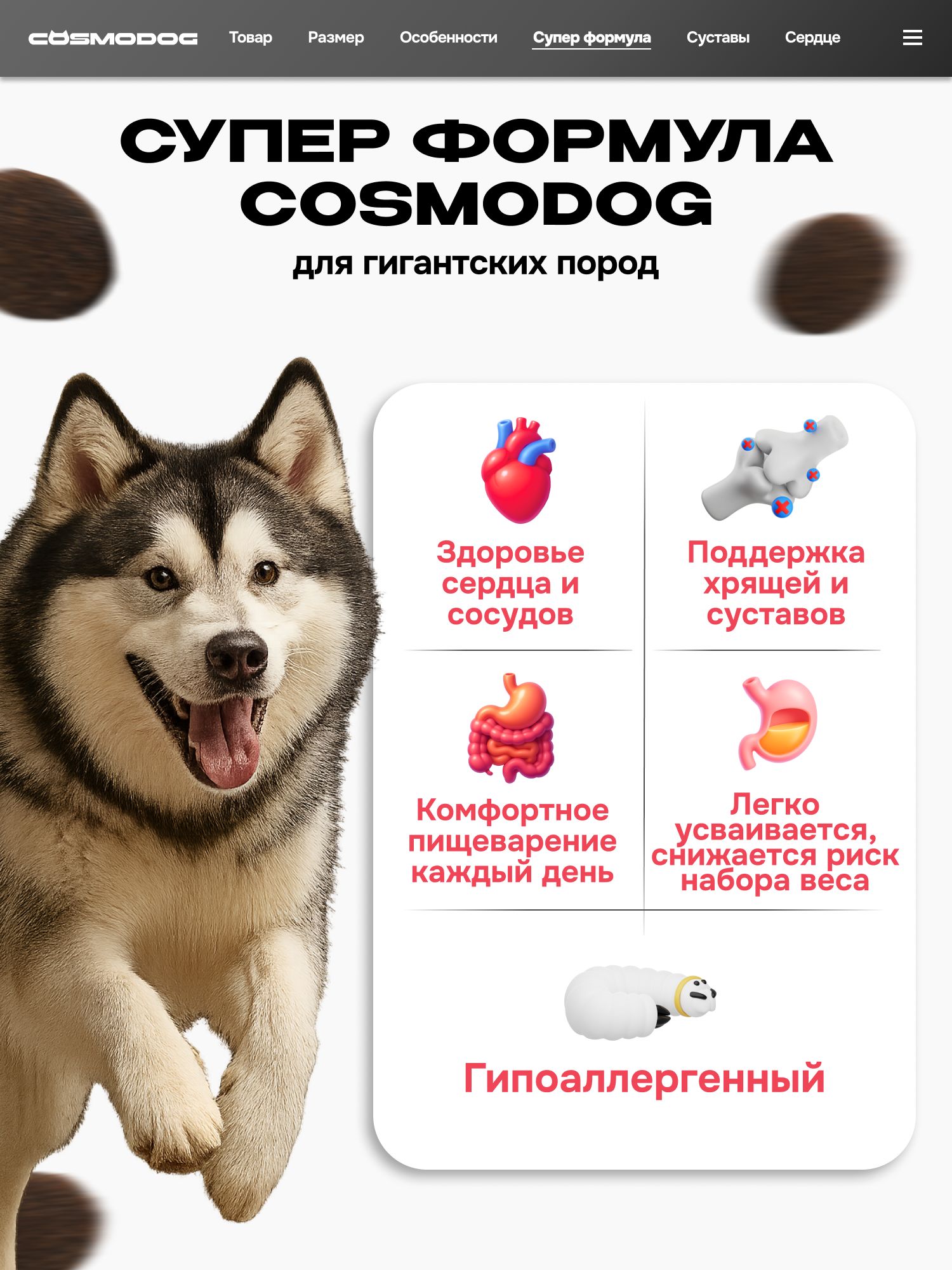 Набор кормов сухих для собак «Cosmodog» для гигантских пород с индейкой 2 кг, 2 пачки