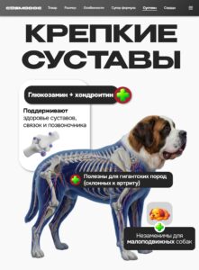 Набор кормов сухих для собак «Cosmodog» для гигантских пород с индейкой 2 кг, 2 пачки