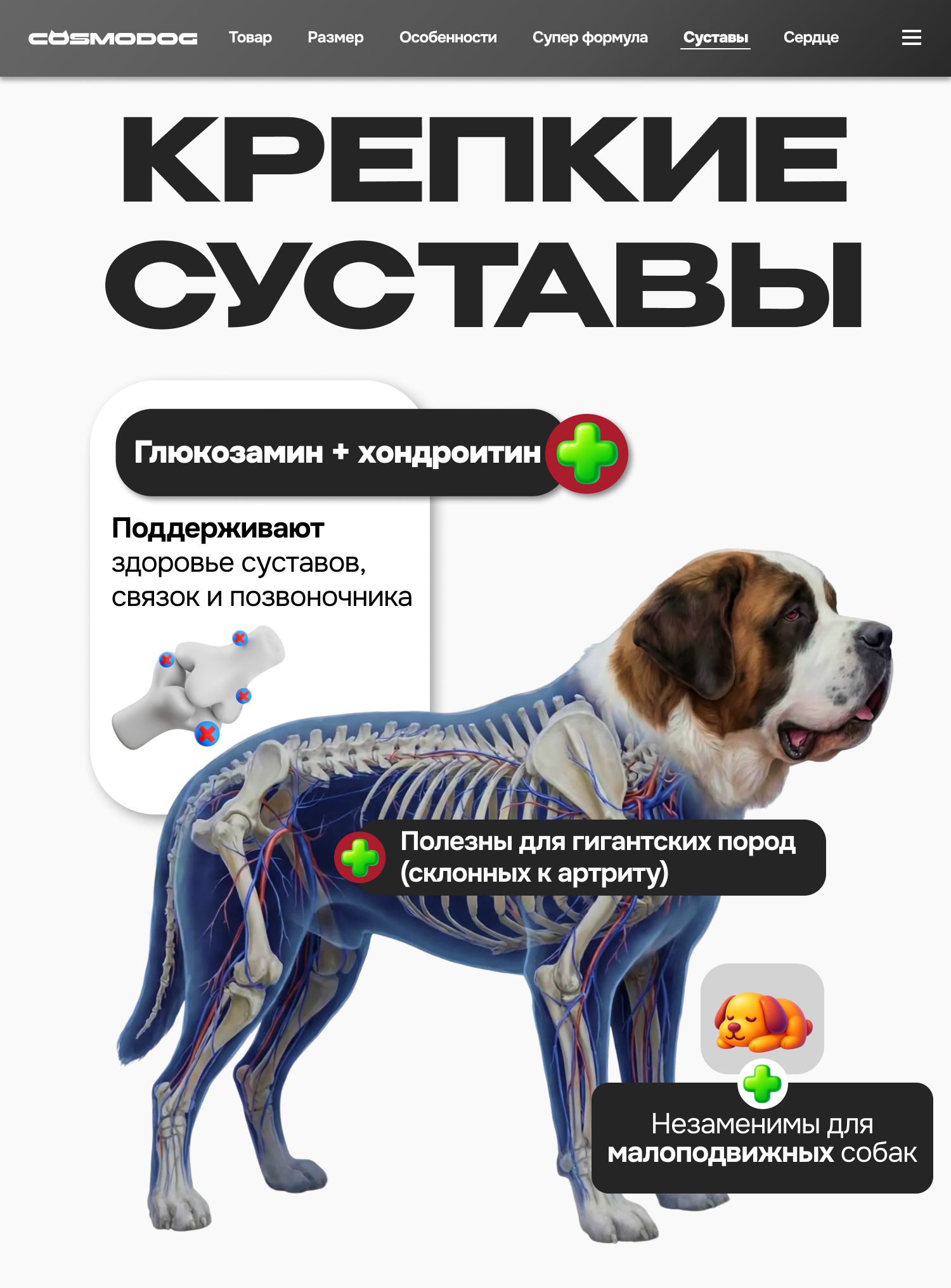 Набор кормов сухих для собак «Cosmodog» для гигантских пород с индейкой 2 кг, 2 пачки
