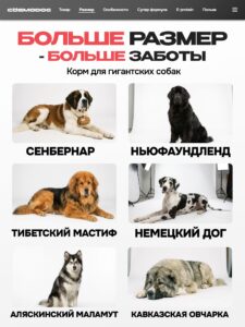 Набор кормов сухих для собак «Cosmodog» для гигантских пород с индейкой 2 кг, 3 пачки