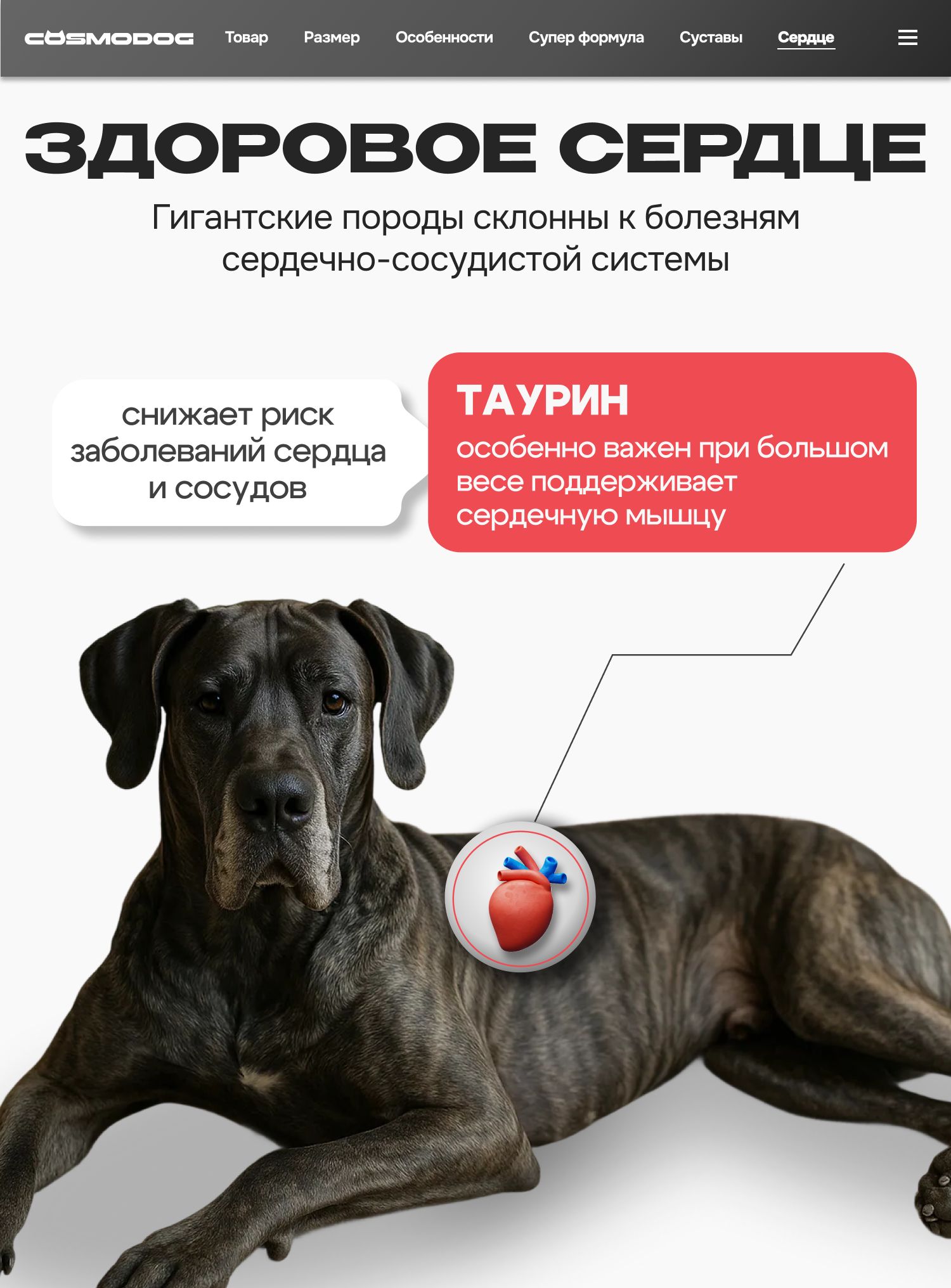 Набор кормов сухих для собак «Cosmodog» для гигантских пород с индейкой 2 кг, 4 пачки