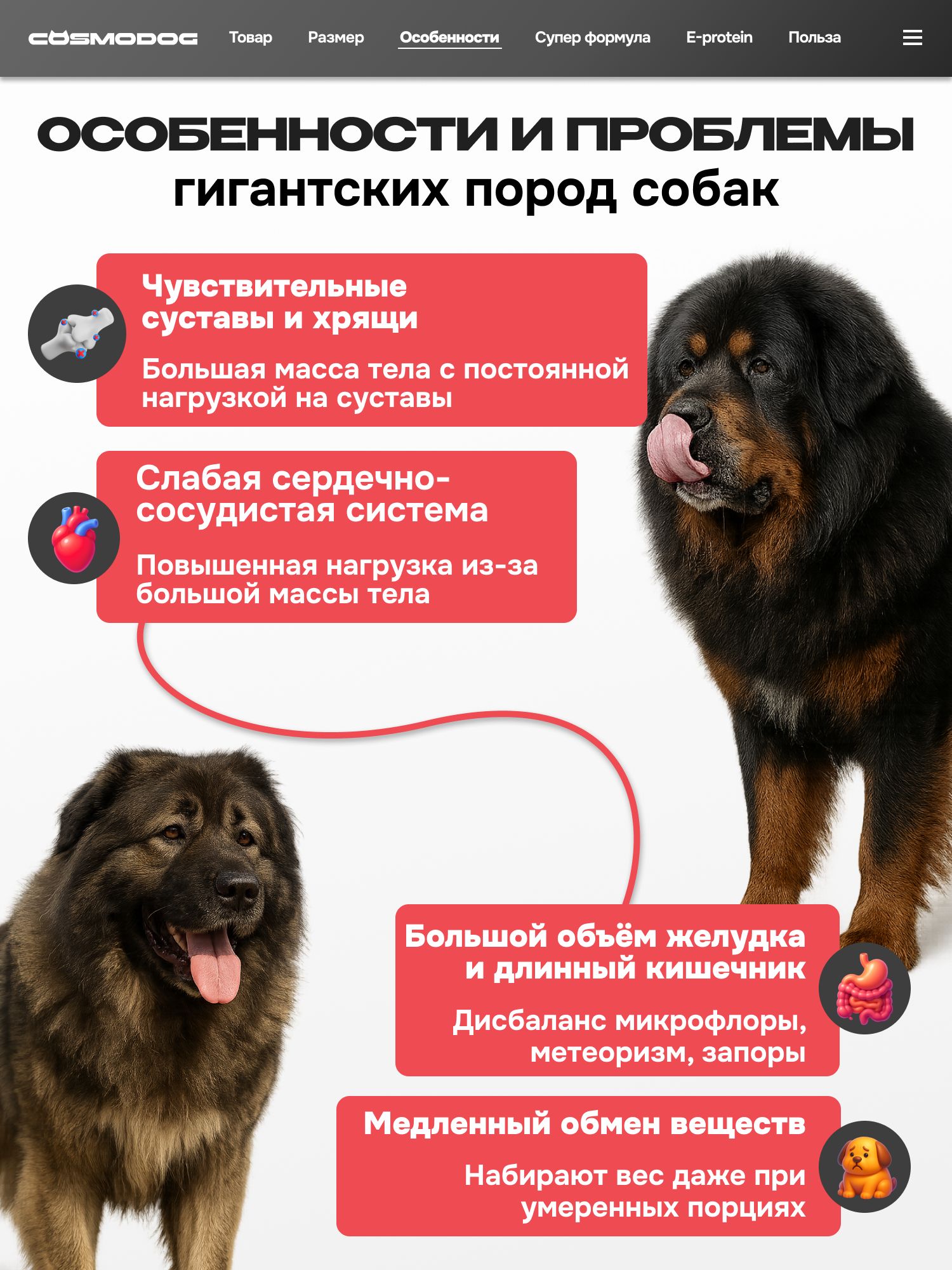 Набор кормов сухих для собак «Cosmodog» для гигантских пород с индейкой 2 кг, 6 пачек
