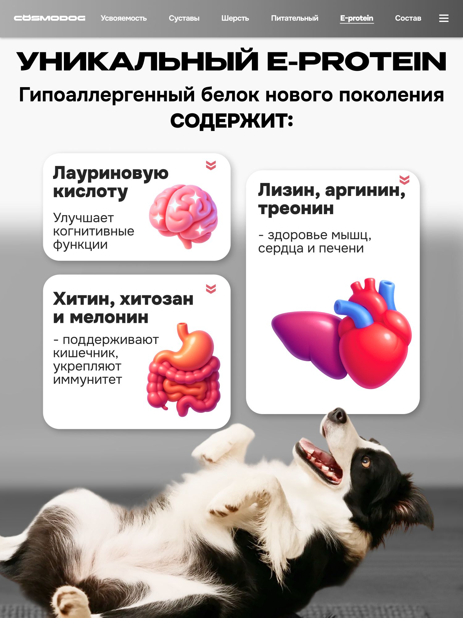 Набор кормов сухих «Cosmodog» для стерилизованных собак/контроль веса с индейкой 2 кг, 6 пачек
