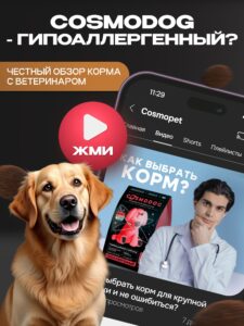 Набор кормов сухих для собак «Cosmodog» для крупных и средних пород с индейкой 2 кг, 6 пачек