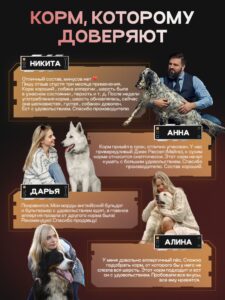 Набор кормов сухих для собак «Cosmodog» для крупных и средних пород с индейкой с пробиотиком 2 кг, 2