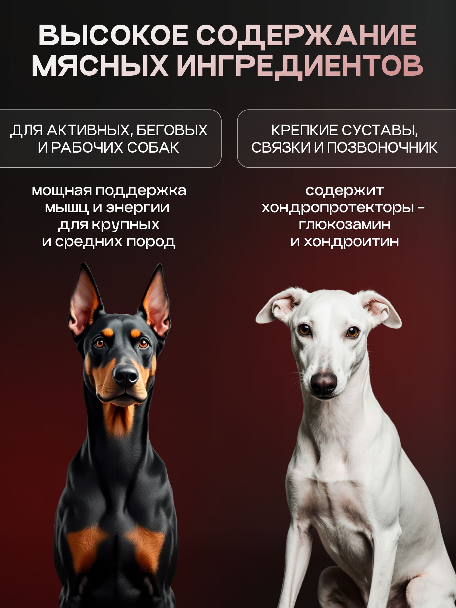 Набор кормов сухих для собак «Cosmodog» для крупных и средних пород с индейкой с пробиотиком 2 кг, 6