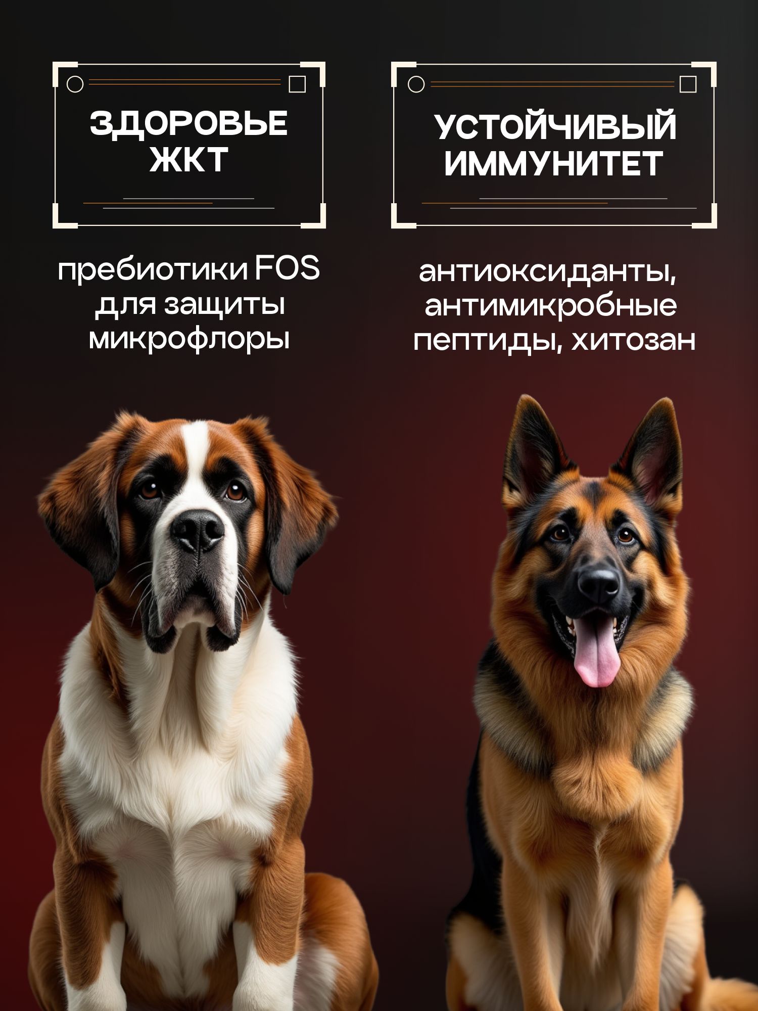 Набор кормов сухих для собак «Cosmodog» для крупных и средних пород с индейкой с пробиотиком 2 кг, 6