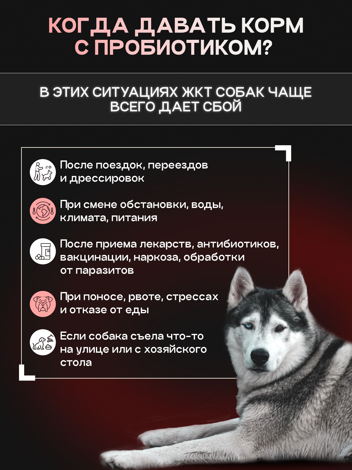 Набор кормов сухихдля собак «Cosmodog» для крупных и средних пород с индейкой 10 кг + с пробиотиком